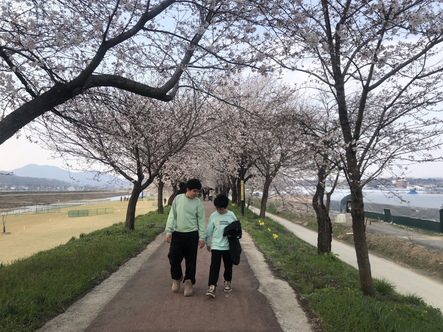 KakaoTalk_20250410_174354608_21.jpg