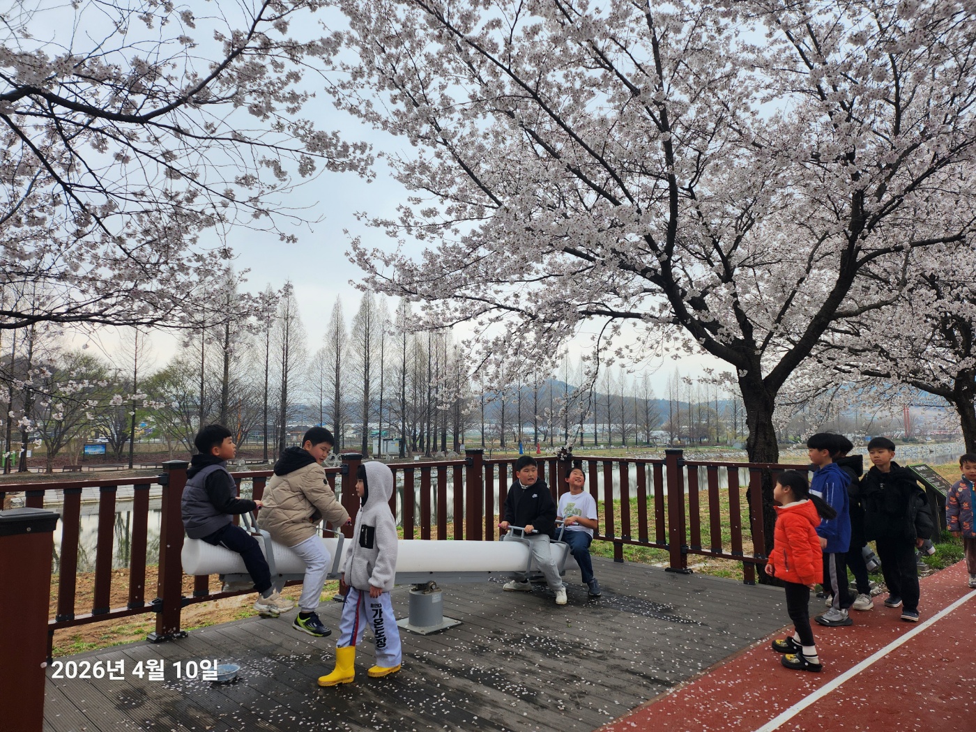 KakaoTalk_20260411_172118459_17.jpg