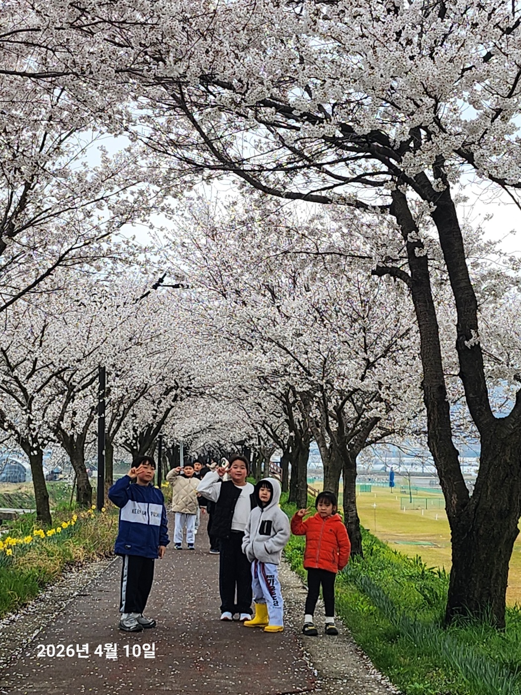 KakaoTalk_20260411_172118459_04.jpg